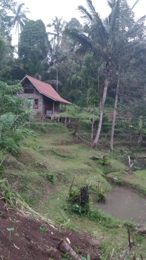 Duegoal Farmhouse Jatiluwih Exterior foto
