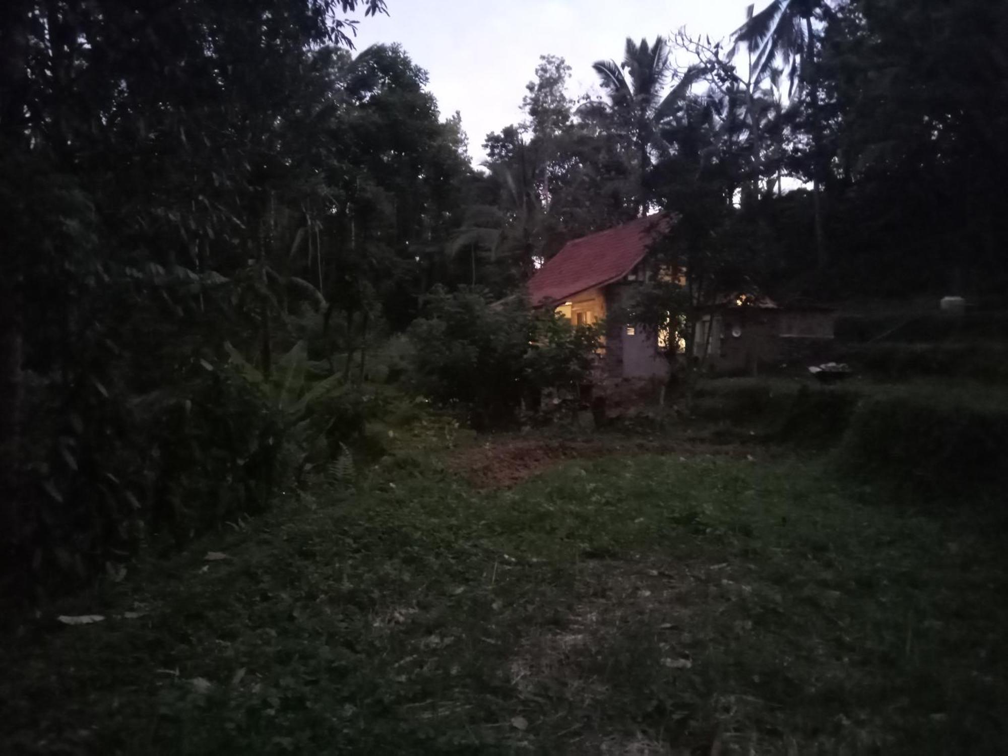 Duegoal Farmhouse Jatiluwih Exterior foto