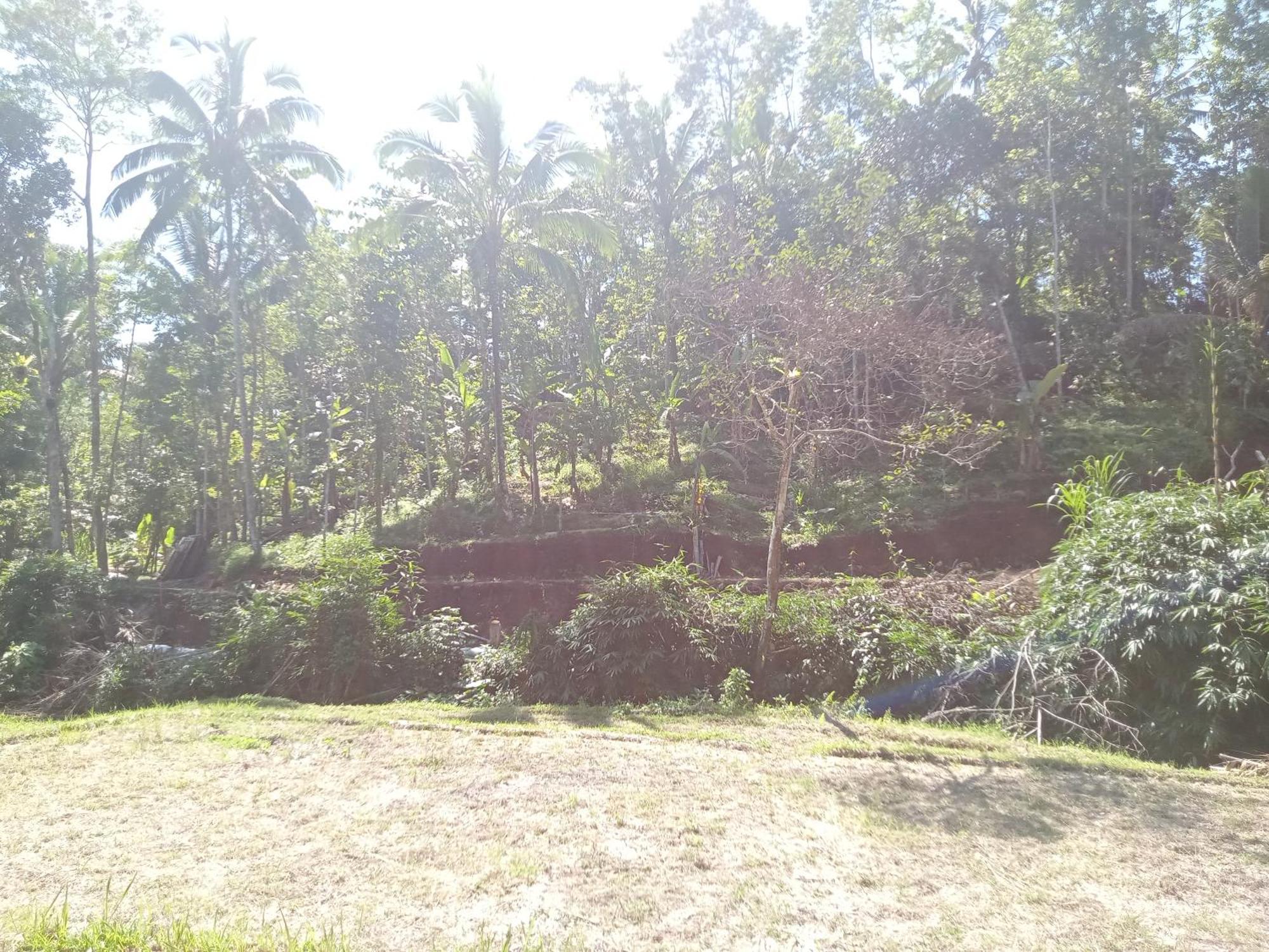 Duegoal Farmhouse Jatiluwih Exterior foto