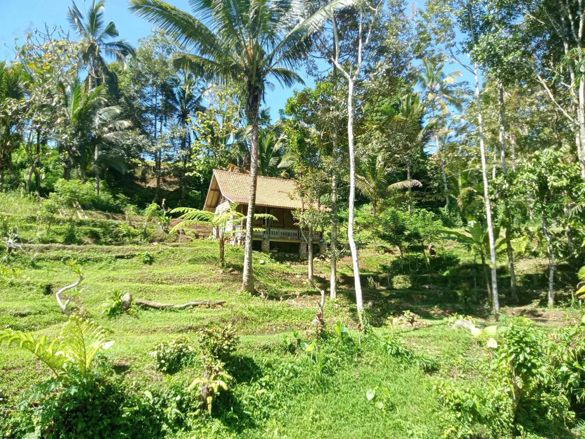 Duegoal Farmhouse Jatiluwih Exterior foto