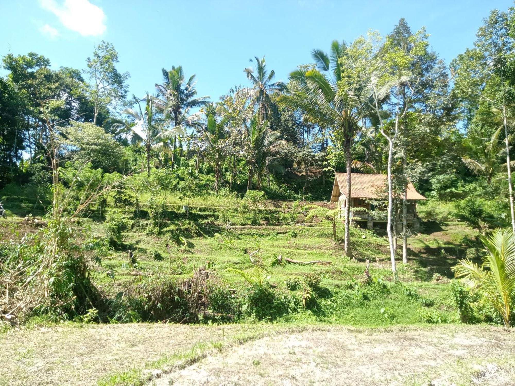 Duegoal Farmhouse Jatiluwih Exterior foto
