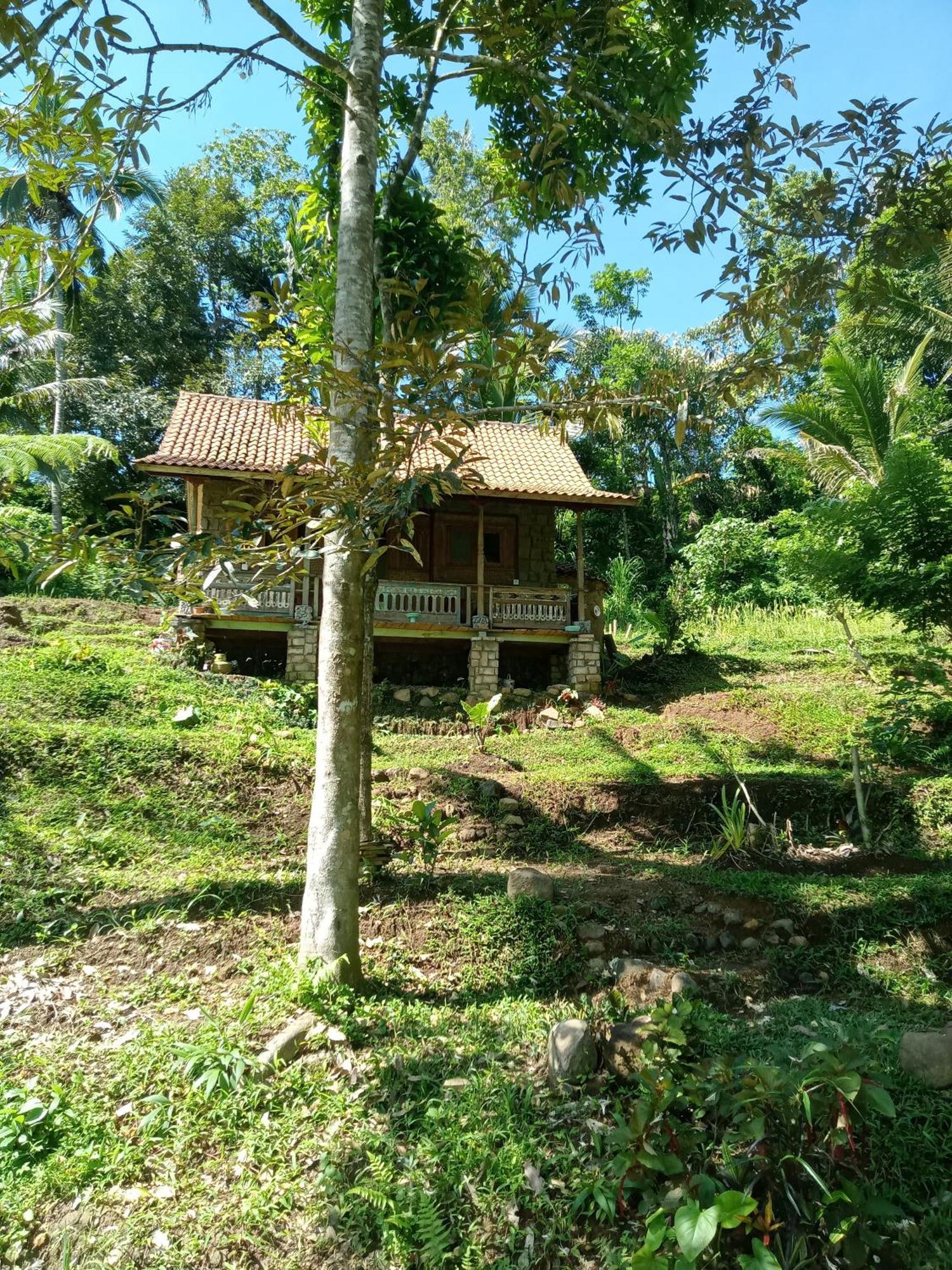 Duegoal Farmhouse Jatiluwih Exterior foto