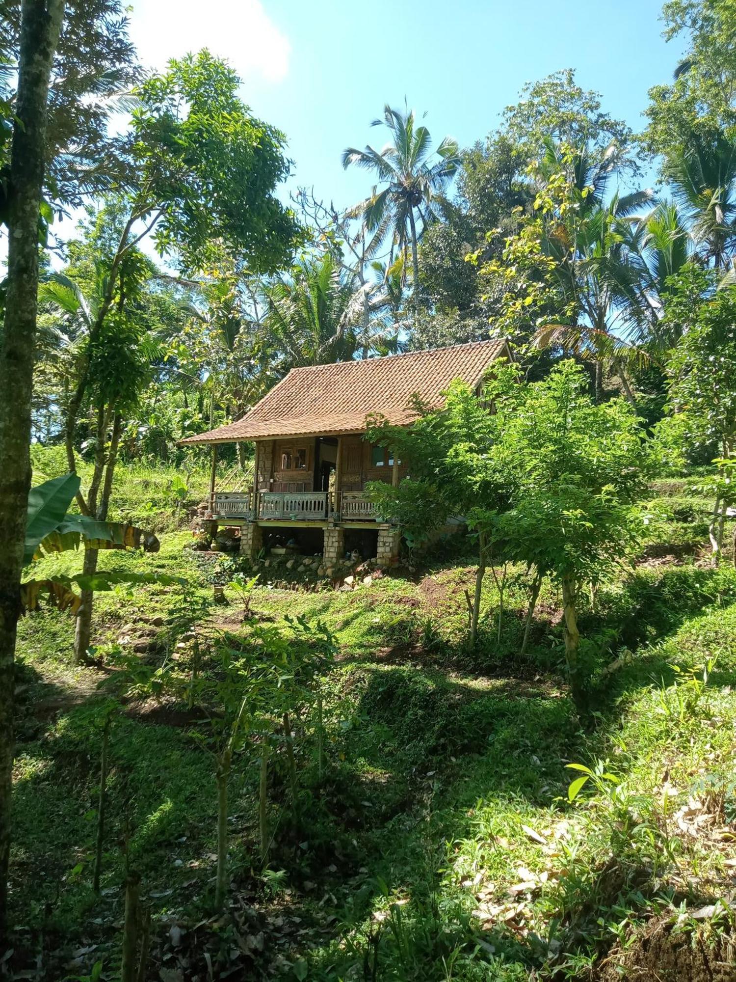 Duegoal Farmhouse Jatiluwih Exterior foto