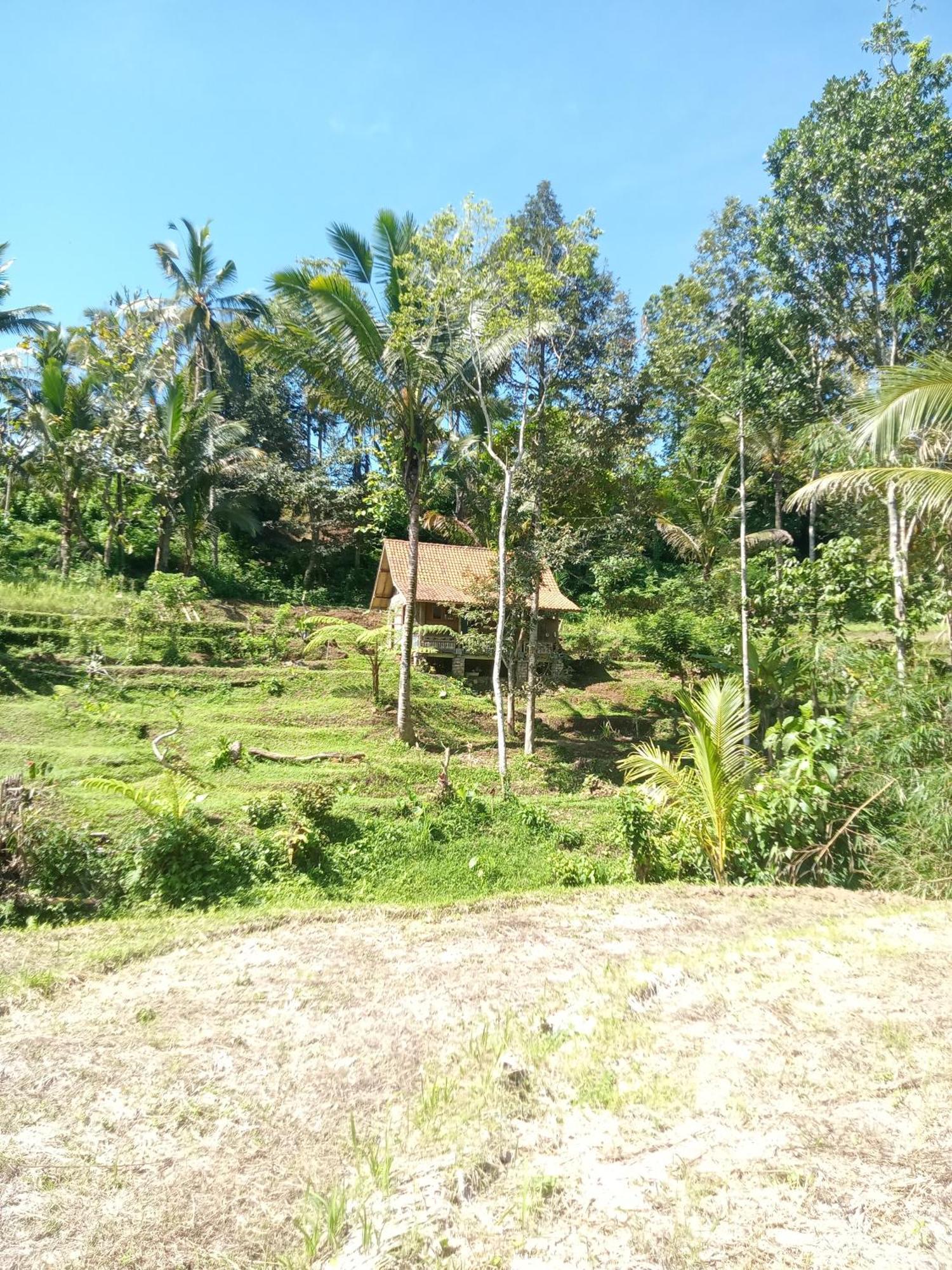 Duegoal Farmhouse Jatiluwih Exterior foto