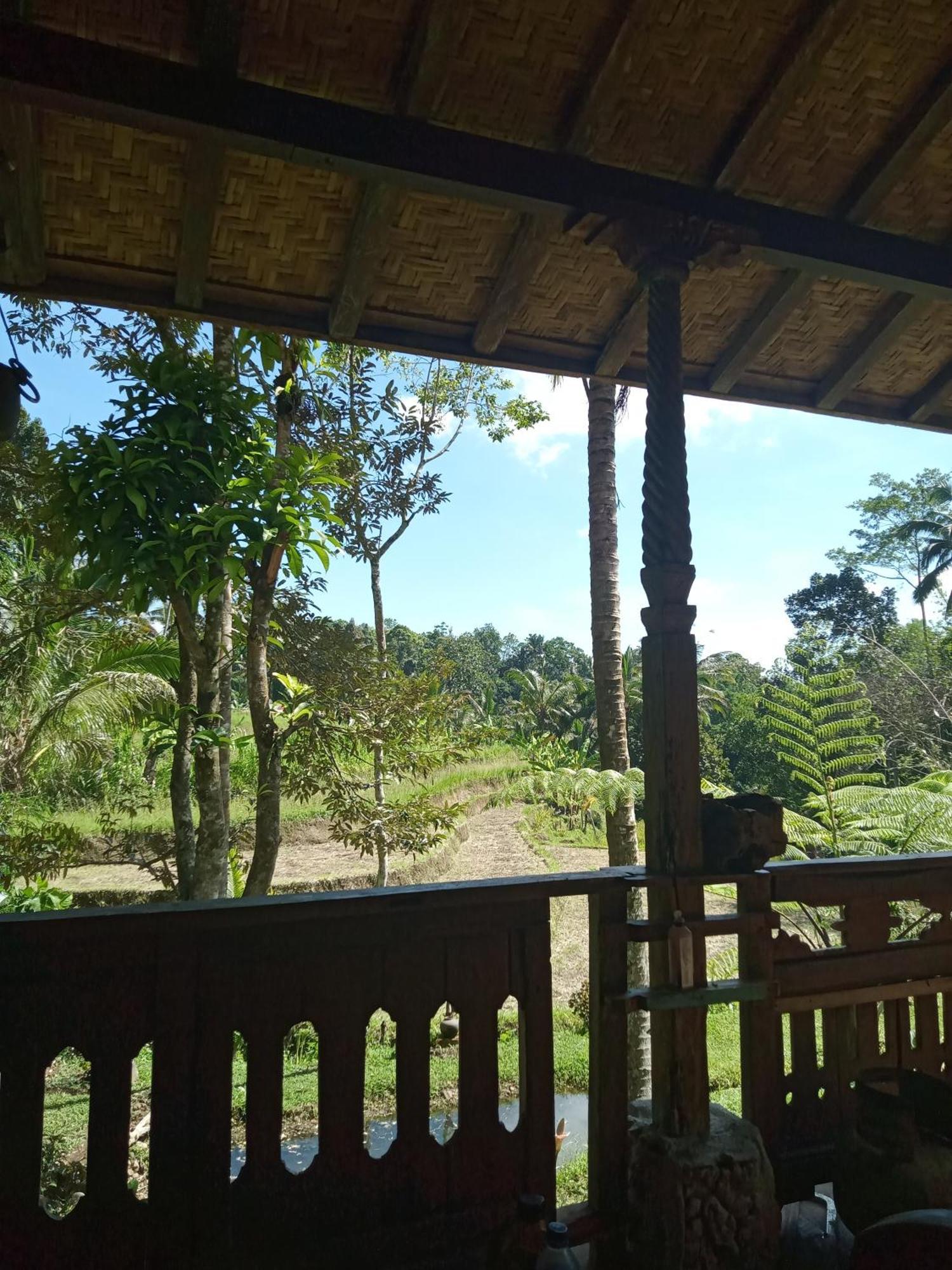 Duegoal Farmhouse Jatiluwih Exterior foto