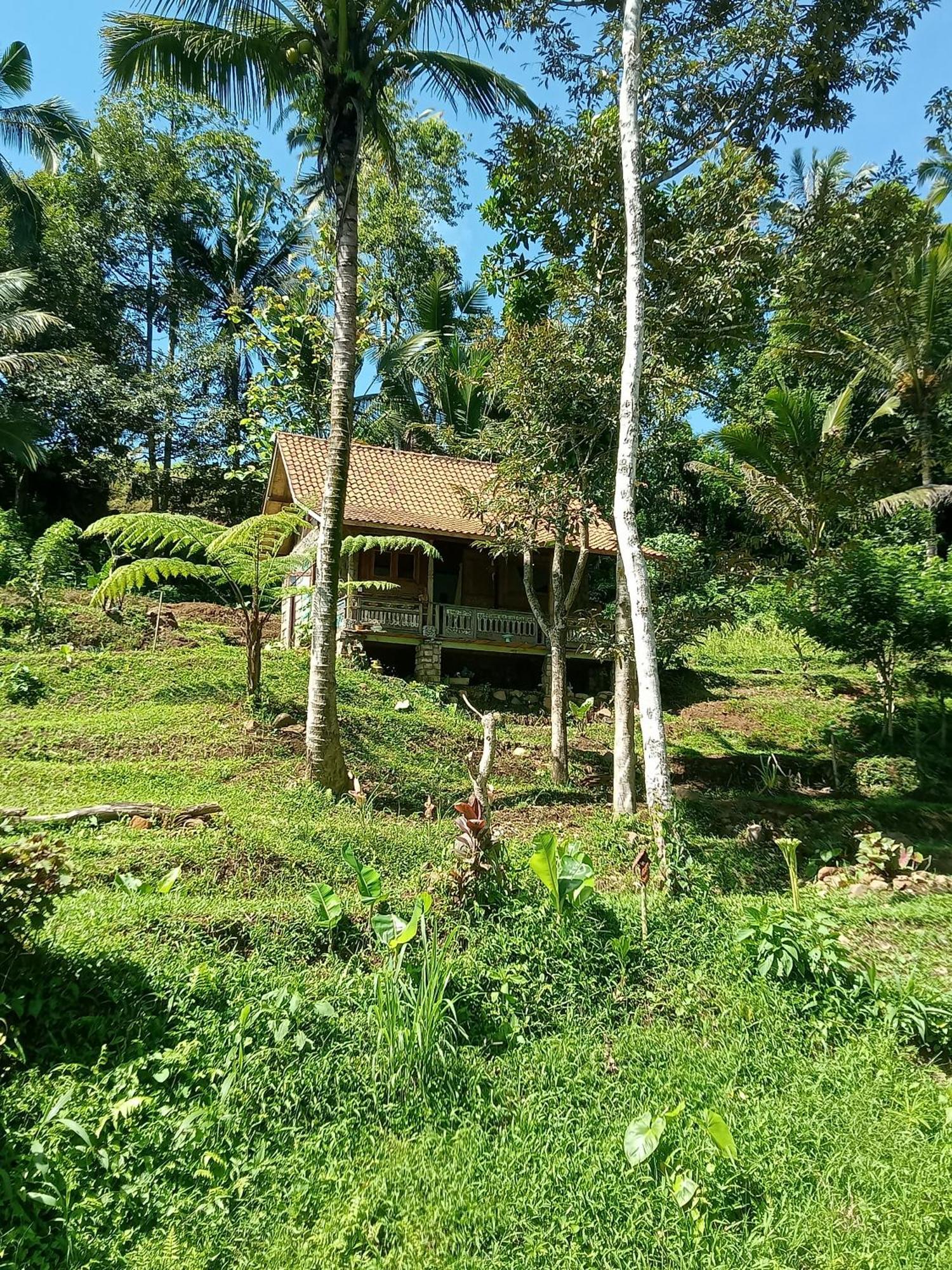 Duegoal Farmhouse Jatiluwih Exterior foto