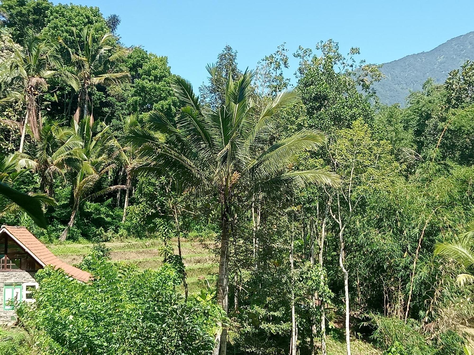 Duegoal Farmhouse Jatiluwih Exterior foto