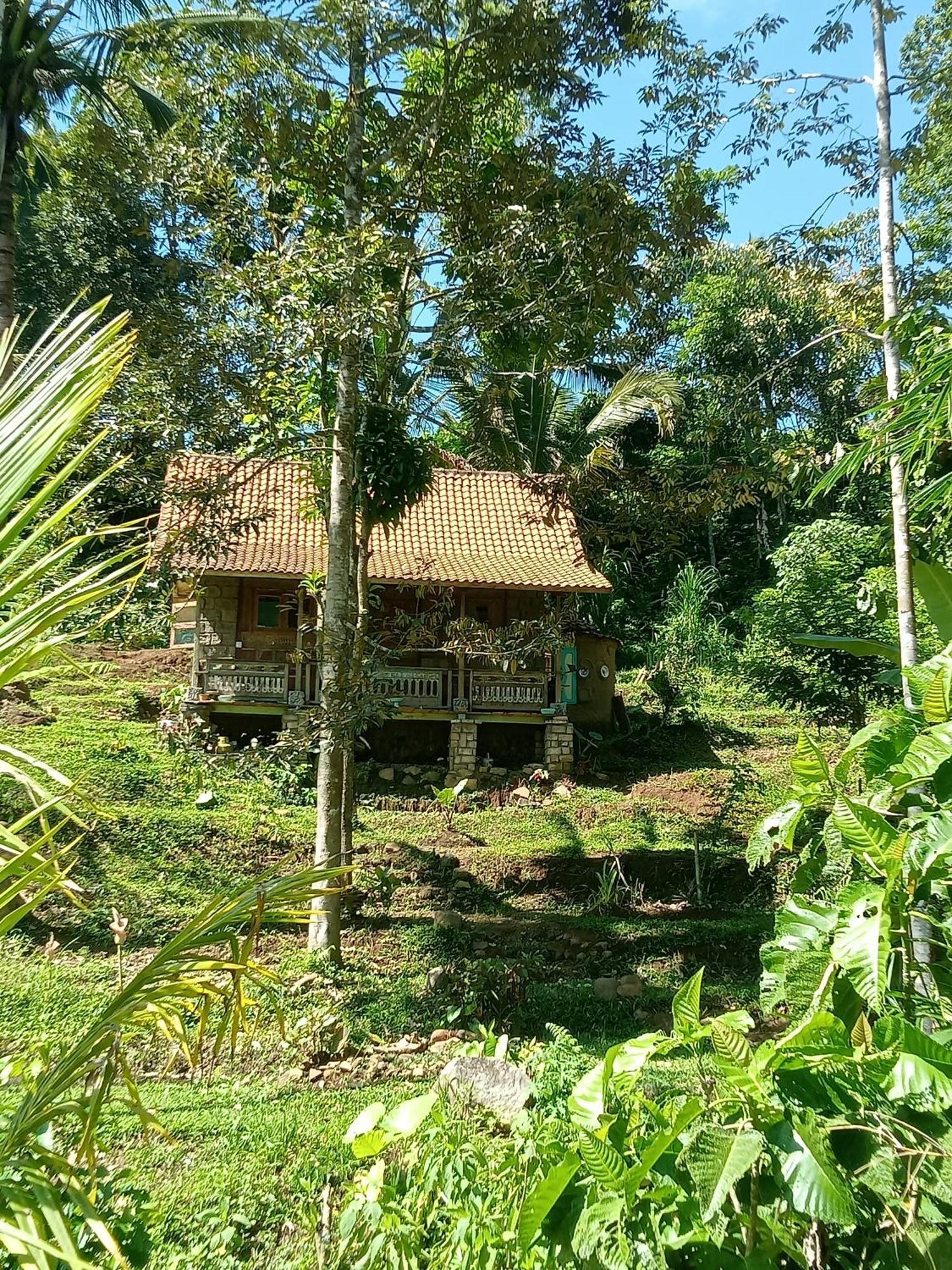 Duegoal Farmhouse Jatiluwih Exterior foto