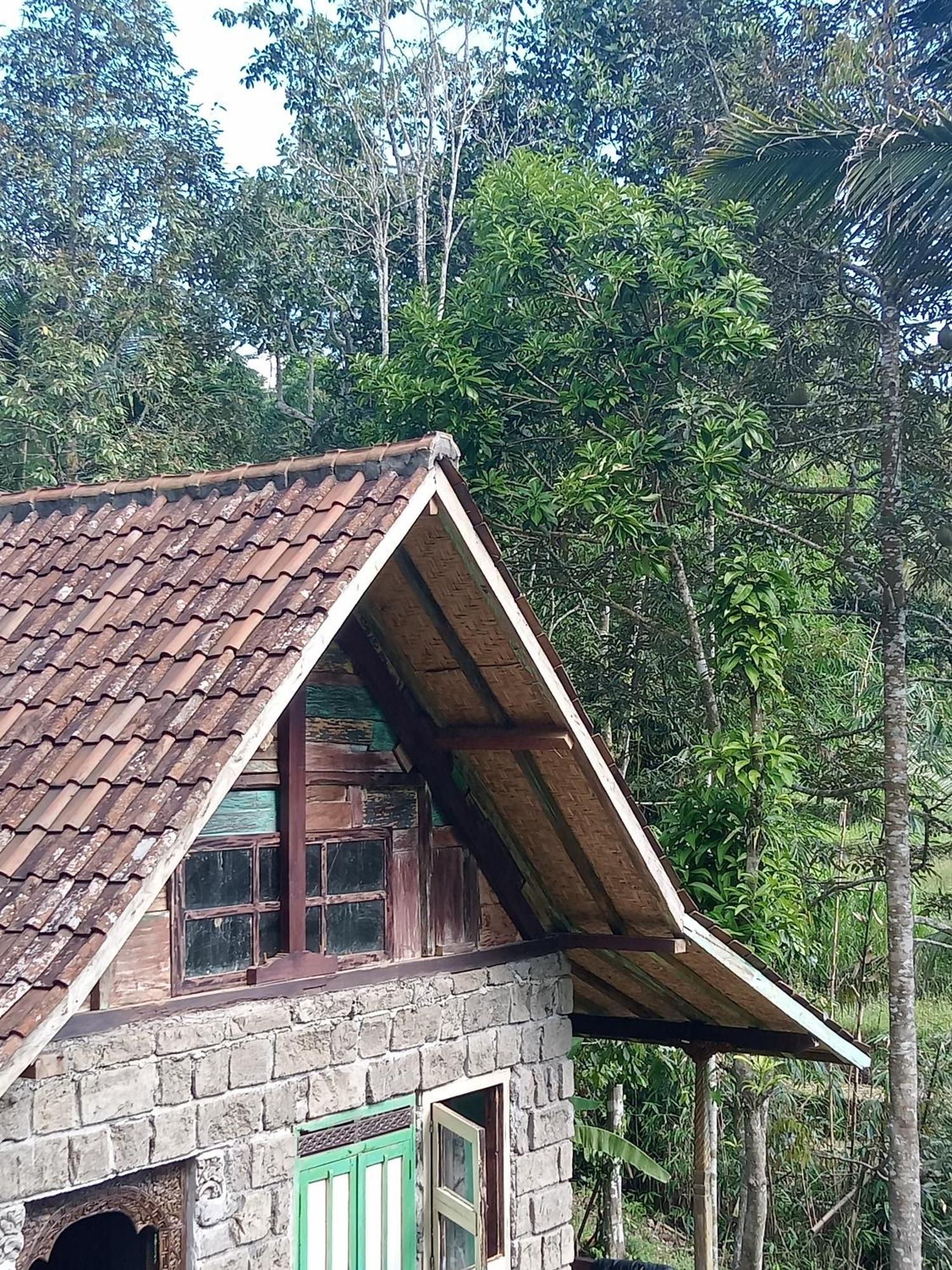 Duegoal Farmhouse Jatiluwih Exterior foto