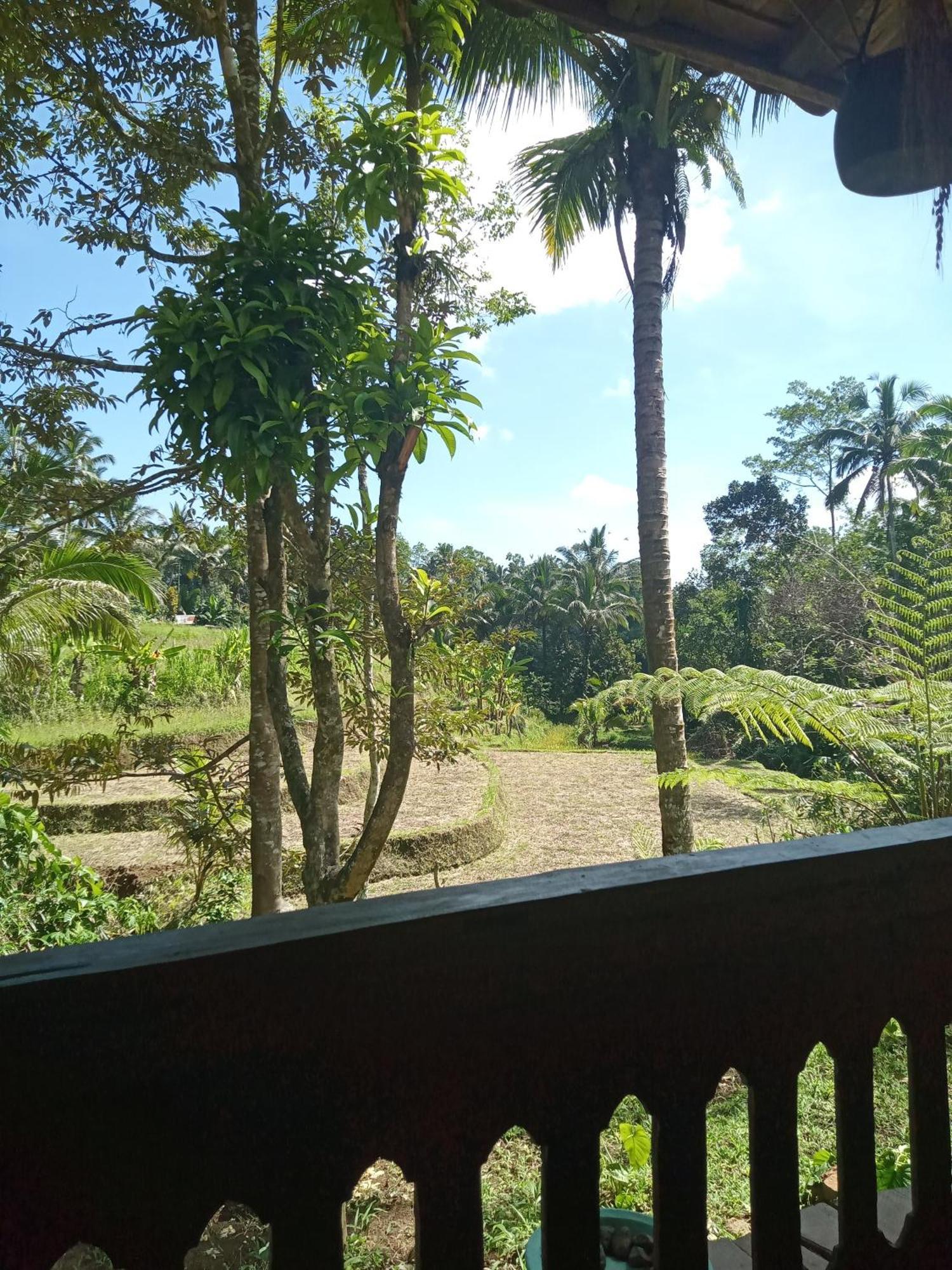 Duegoal Farmhouse Jatiluwih Exterior foto