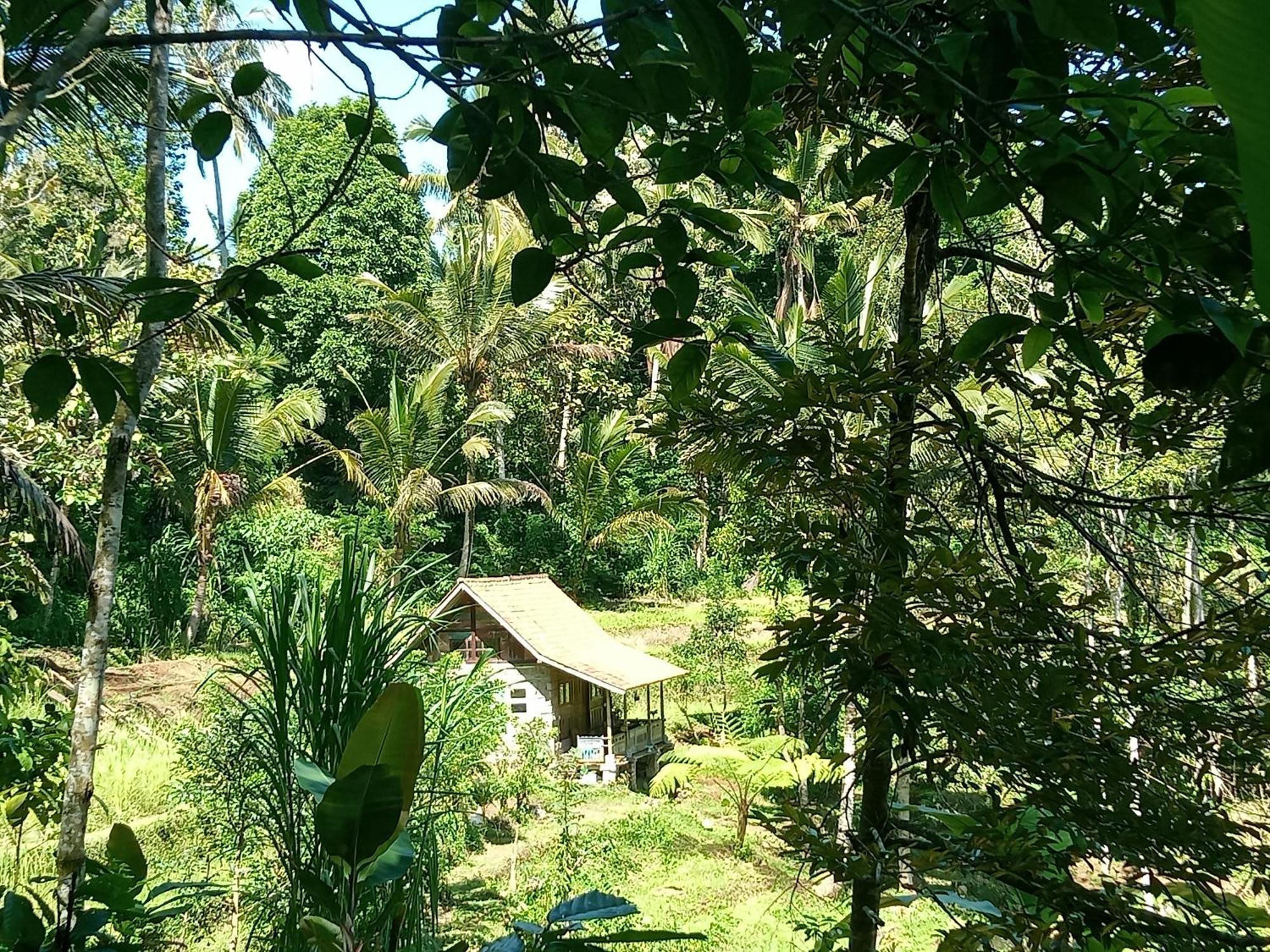 Duegoal Farmhouse Jatiluwih Exterior foto
