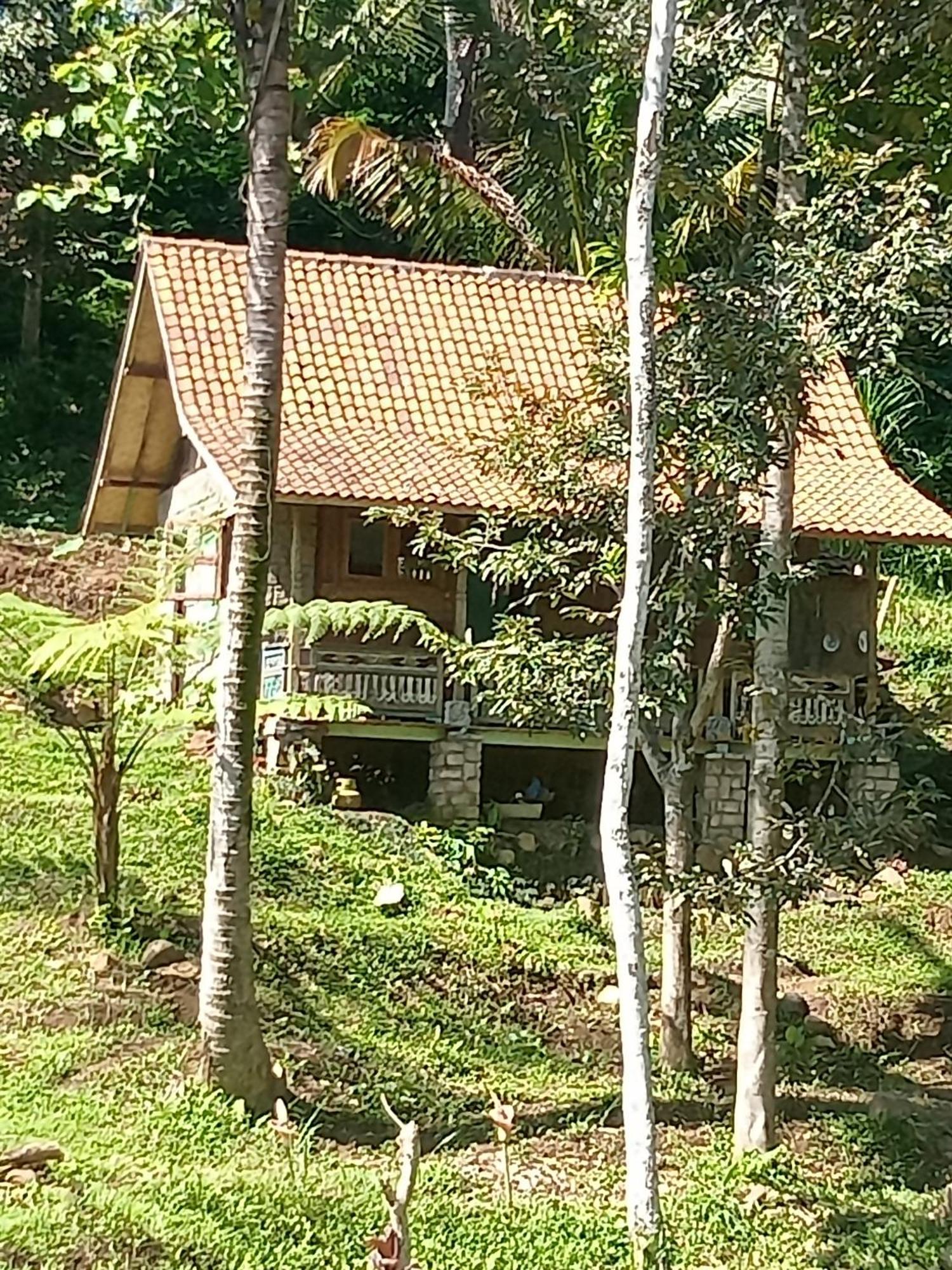 Duegoal Farmhouse Jatiluwih Exterior foto
