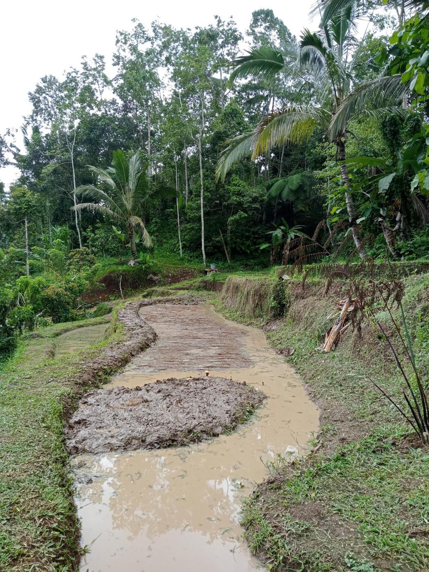 Duegoal Farmhouse Jatiluwih Exterior foto
