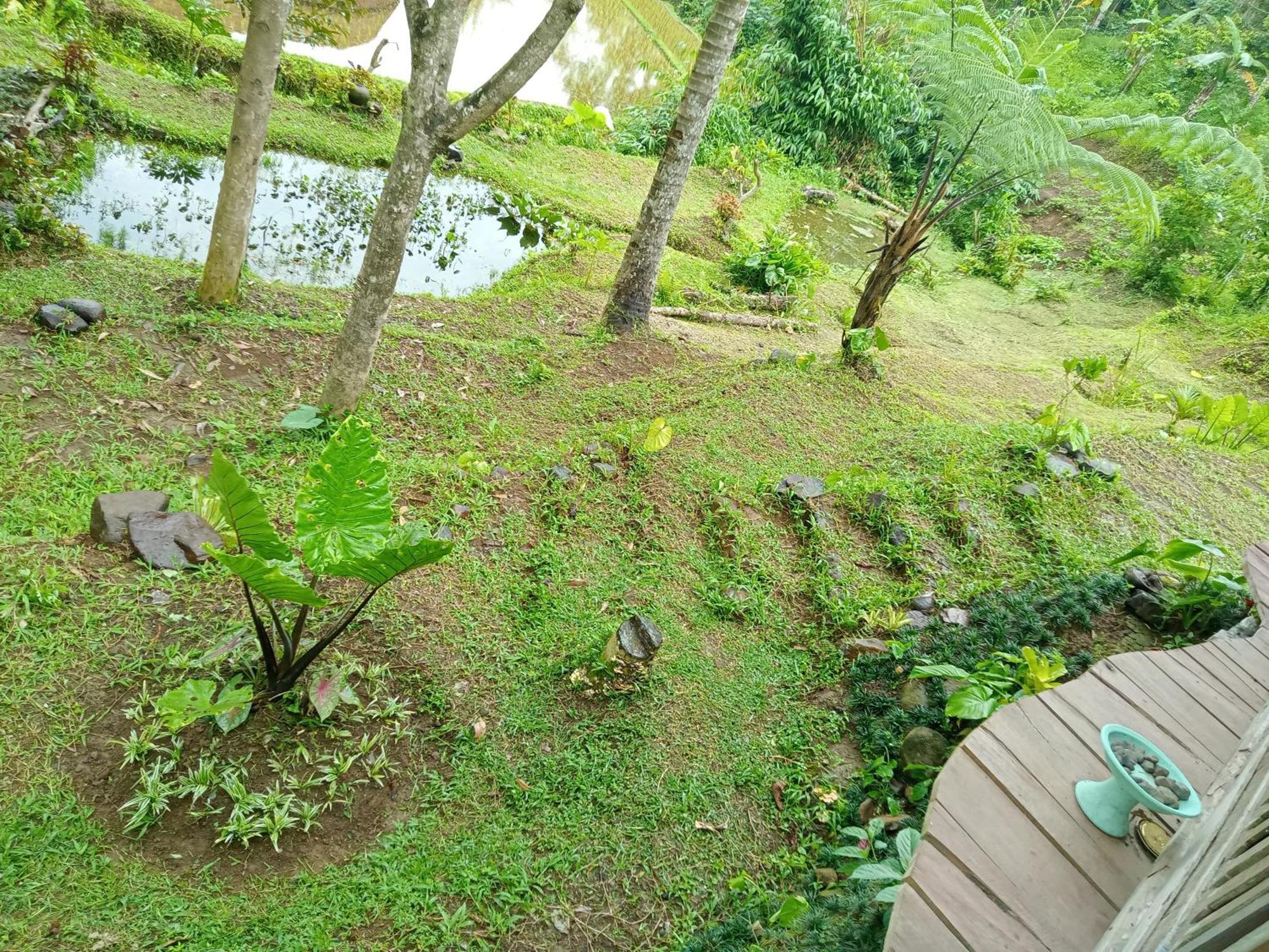 Duegoal Farmhouse Jatiluwih Exterior foto