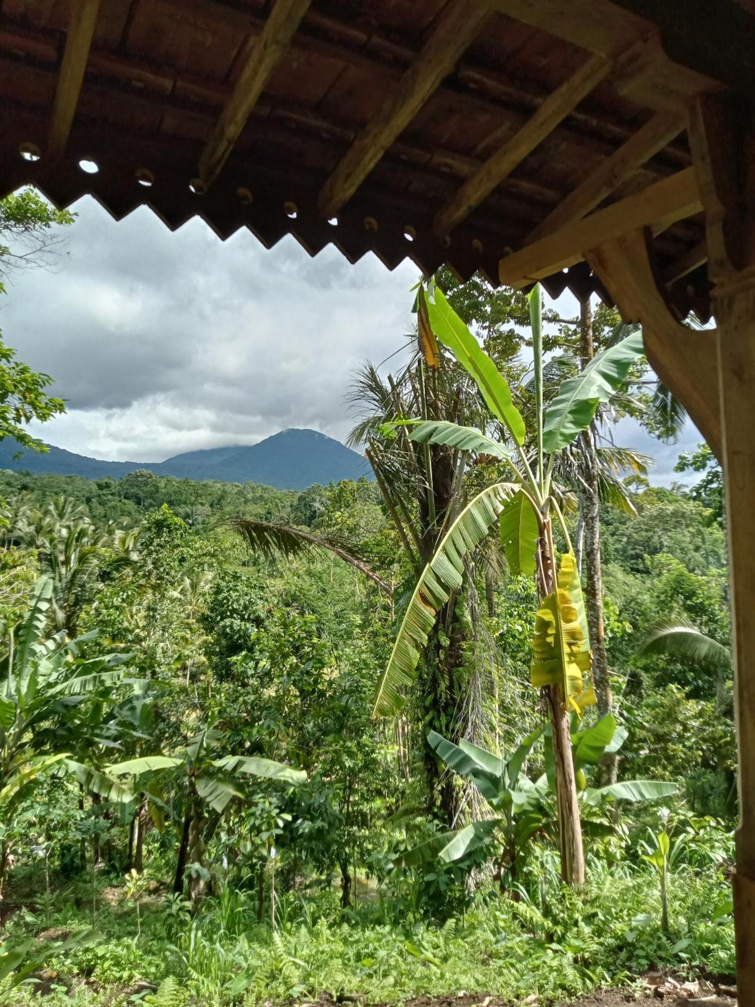 Duegoal Farmhouse Jatiluwih Exterior foto